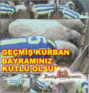 kurban.jpg
